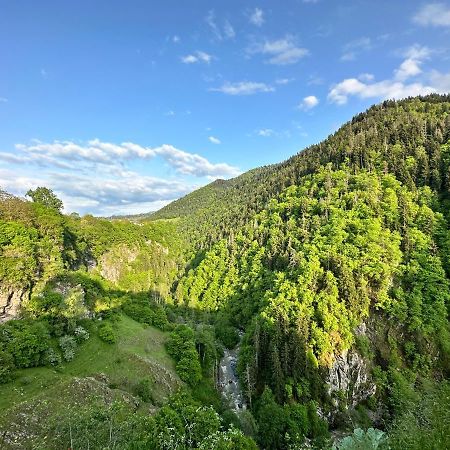 Green Mountain Borzsomi Kültér fotó