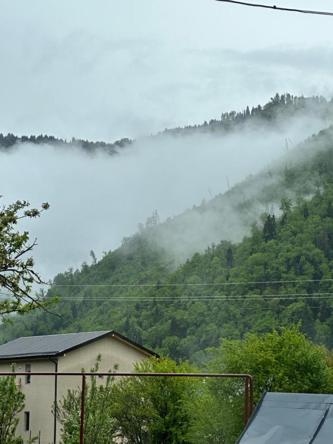 Green Mountain Borzsomi Kültér fotó